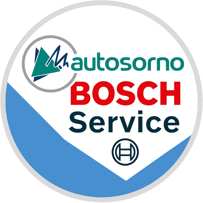 Taller Mecanico Osorno, Autosorno